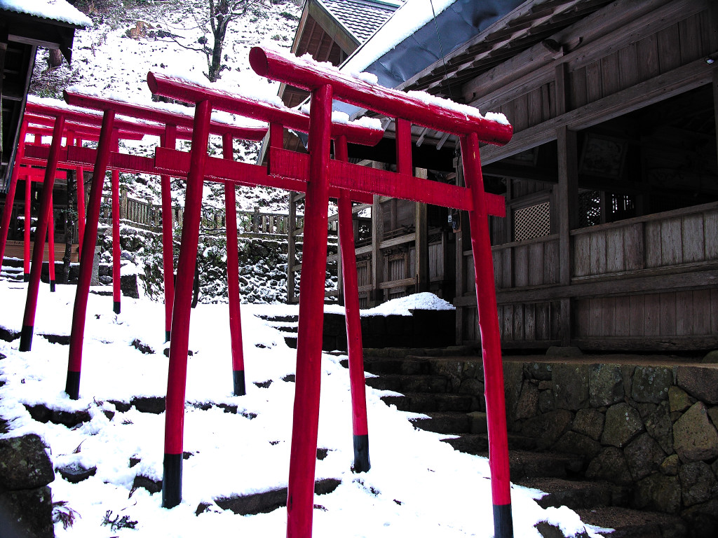 Red torii of a Aotama shrine