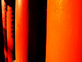 The close-up of torii