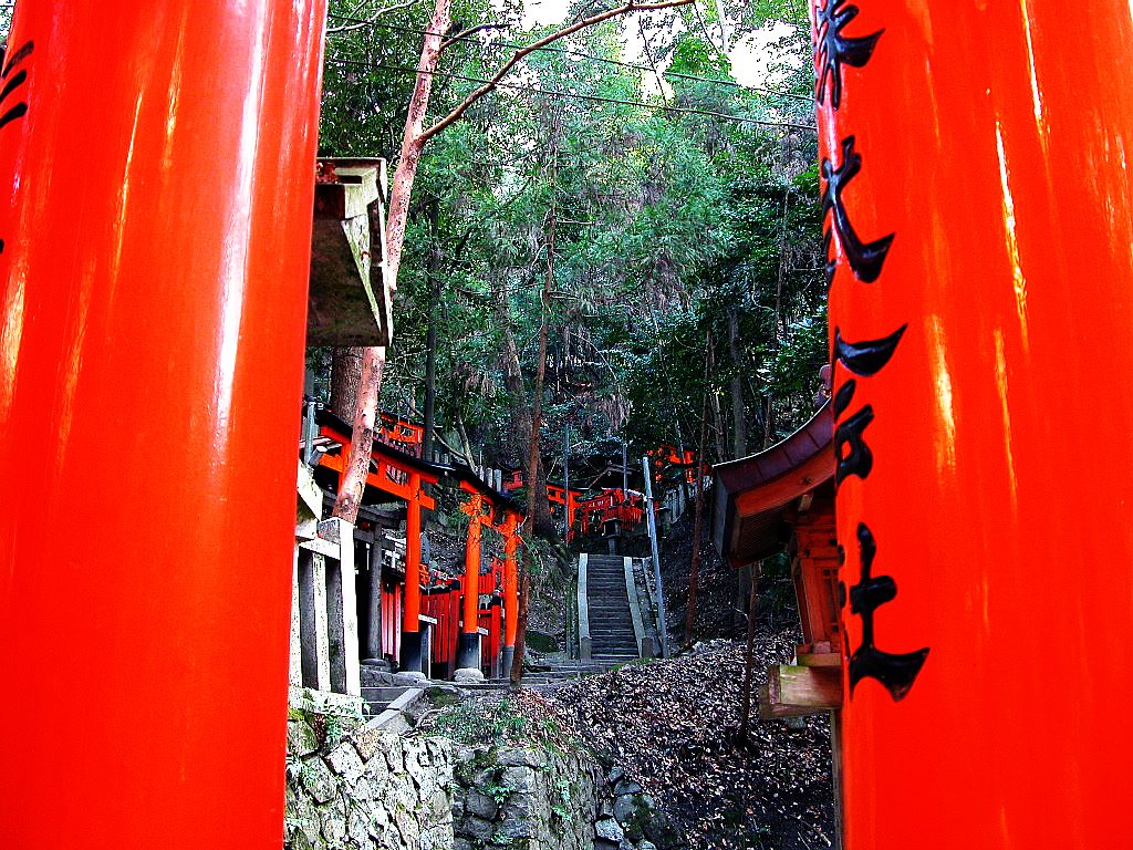 The shrine which saw from between torii