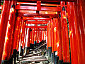 The approach of the torii which continues to Itinomine