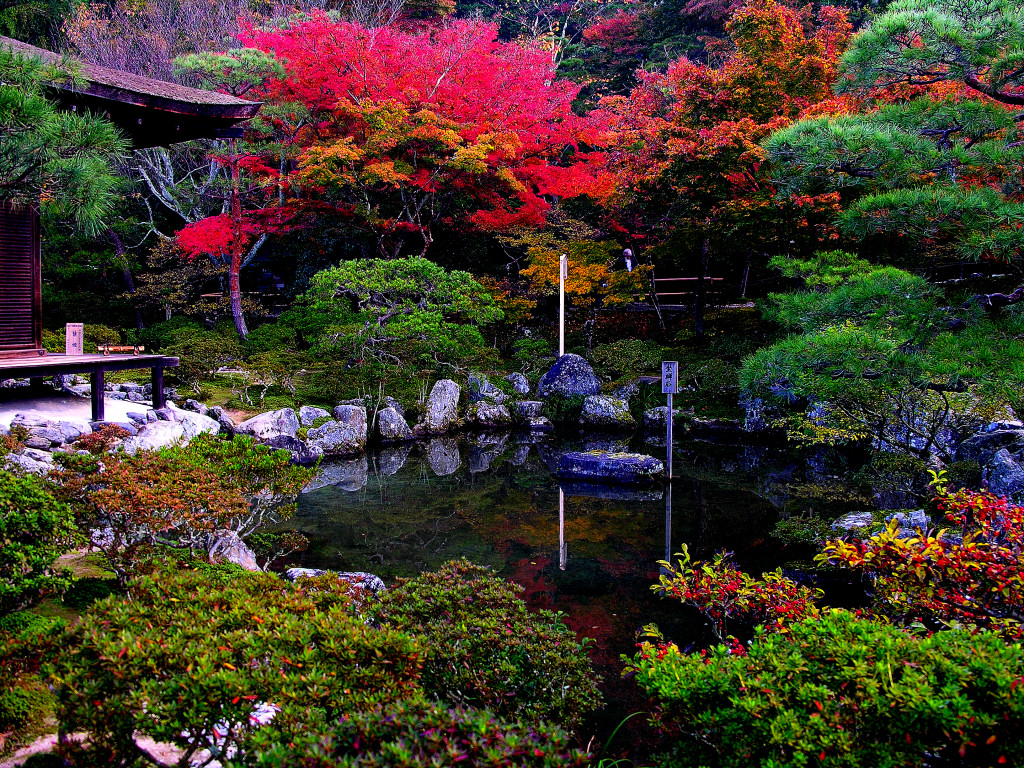 the-meditation-in-zen-buddhism-stone-in-ginkaku-ji-garden