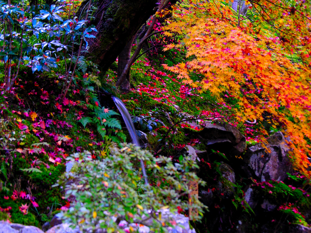 Sengetusen and autumnal leaves