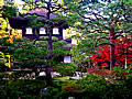 Ginkakuji temple Admission fee
