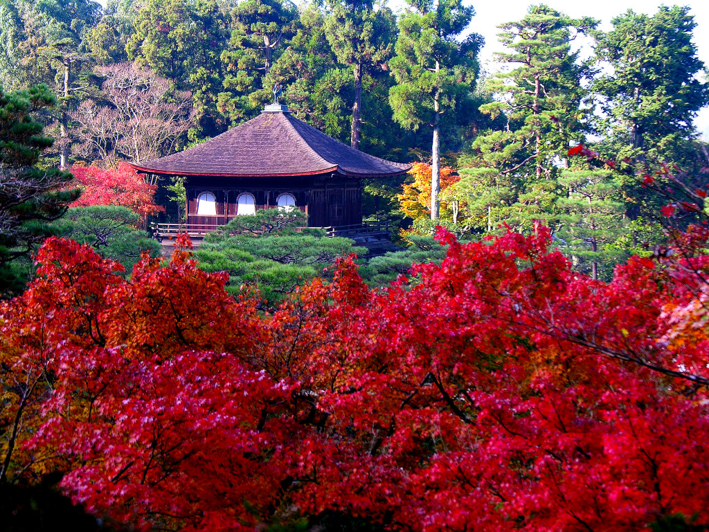 Ginkakuji temple Best time to see of autumnal leaves