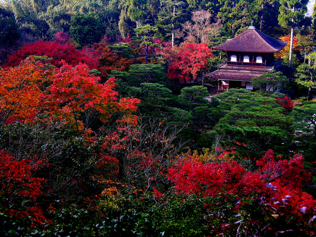 Ginkaku-ji Garden is looked down on.