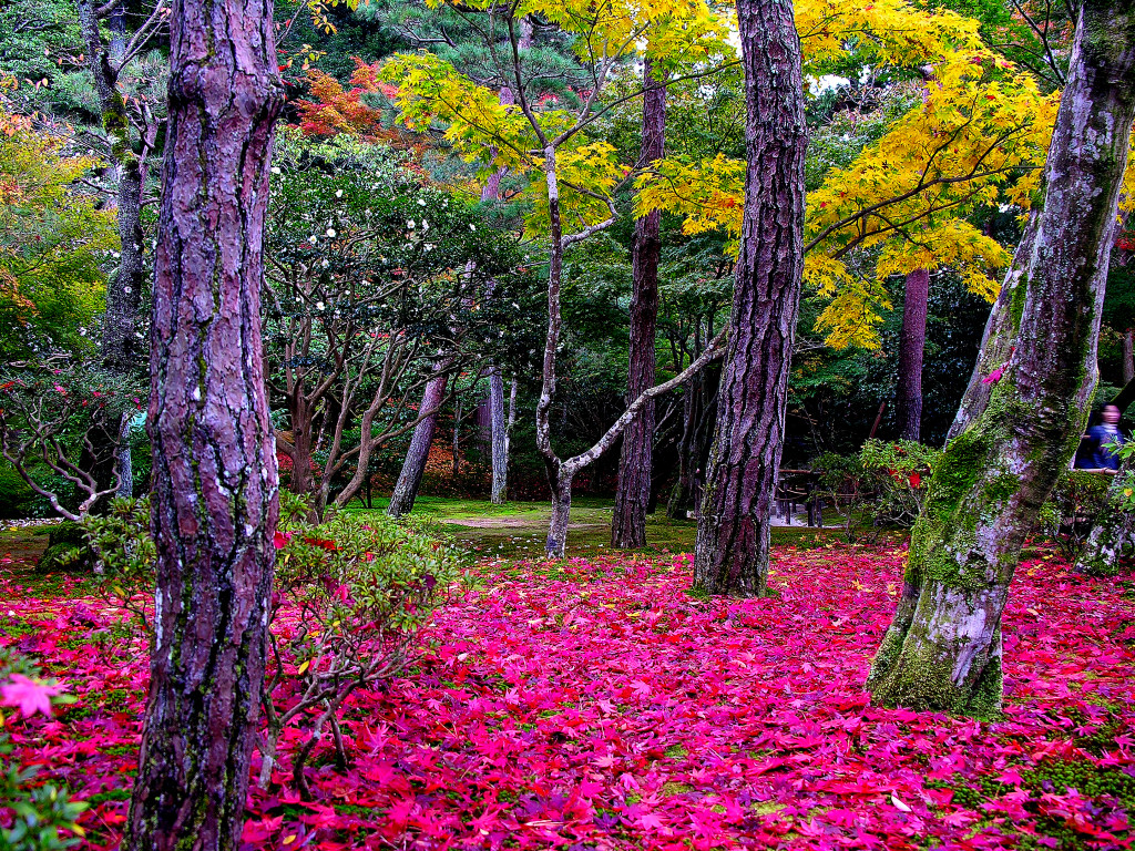 zen-buddhism