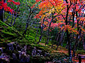 The autumnal leaves of Ginkaku-ji Garden 