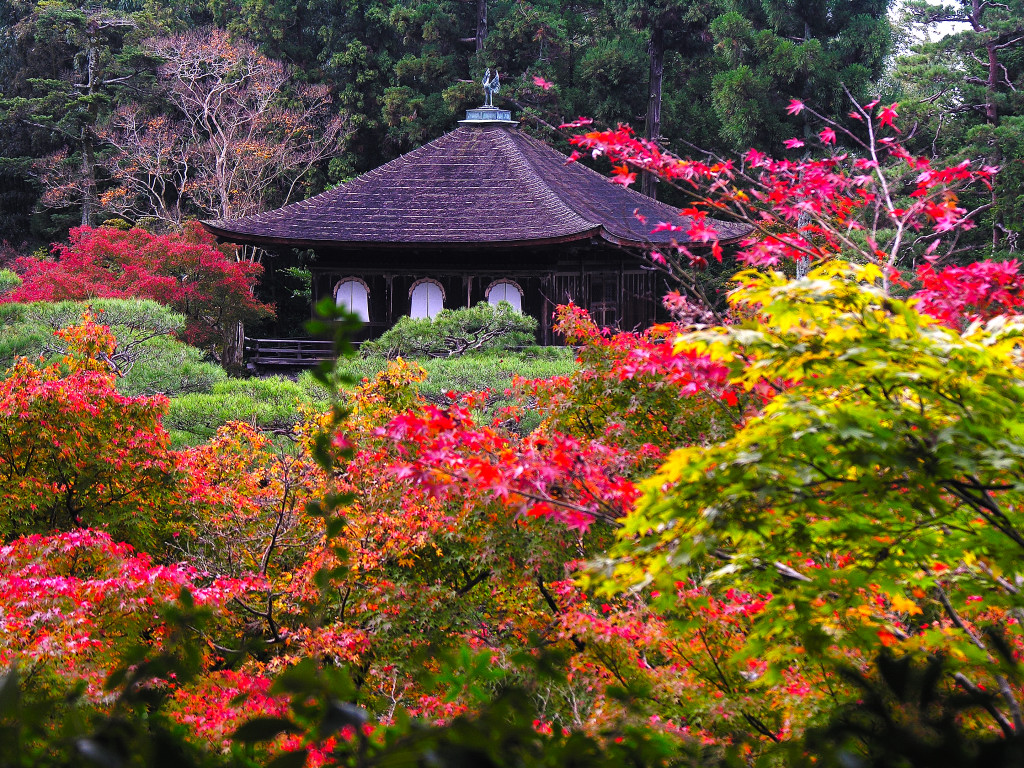 The Ginkakuji temple and Kannonden, and autumnal leaves