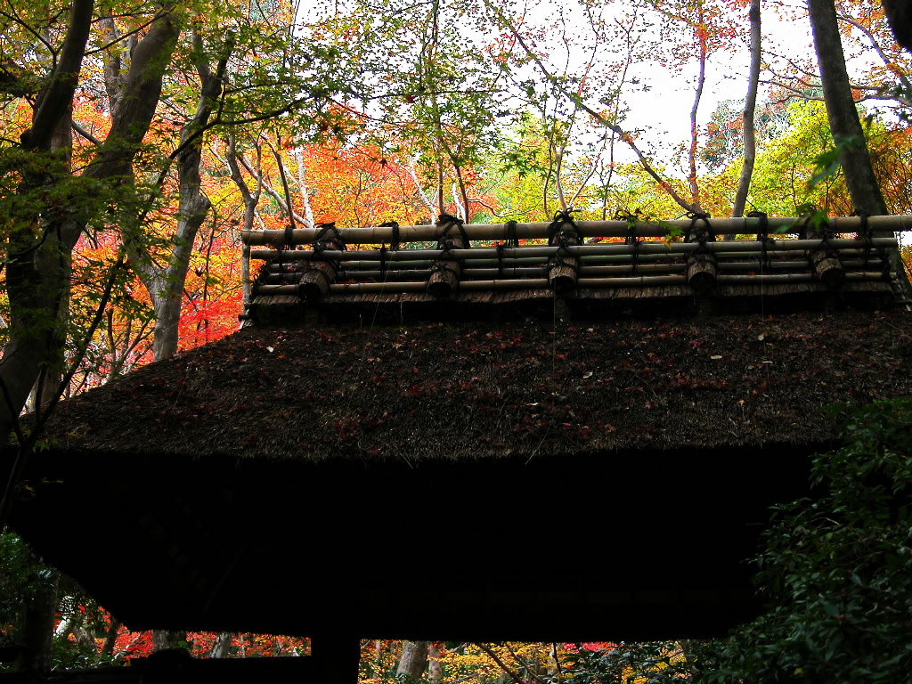 The hermitage and autumnal leaves of Gio-ji