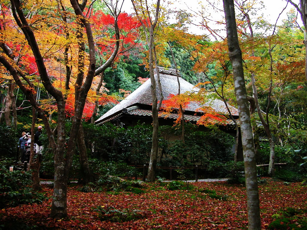 The garden, and a hermitage and autumnal leaves of Gio-ji 