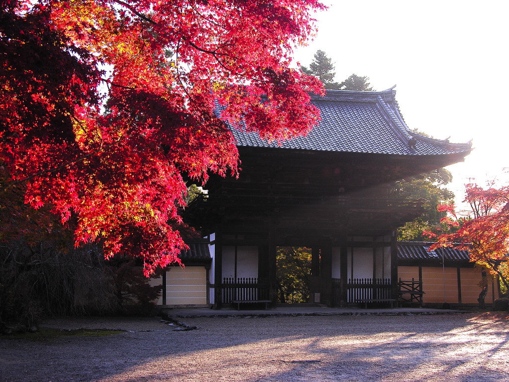 Sanmon and autumnal leaves