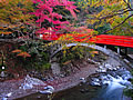 A Sizuki bridge and the Kiyotaki river
