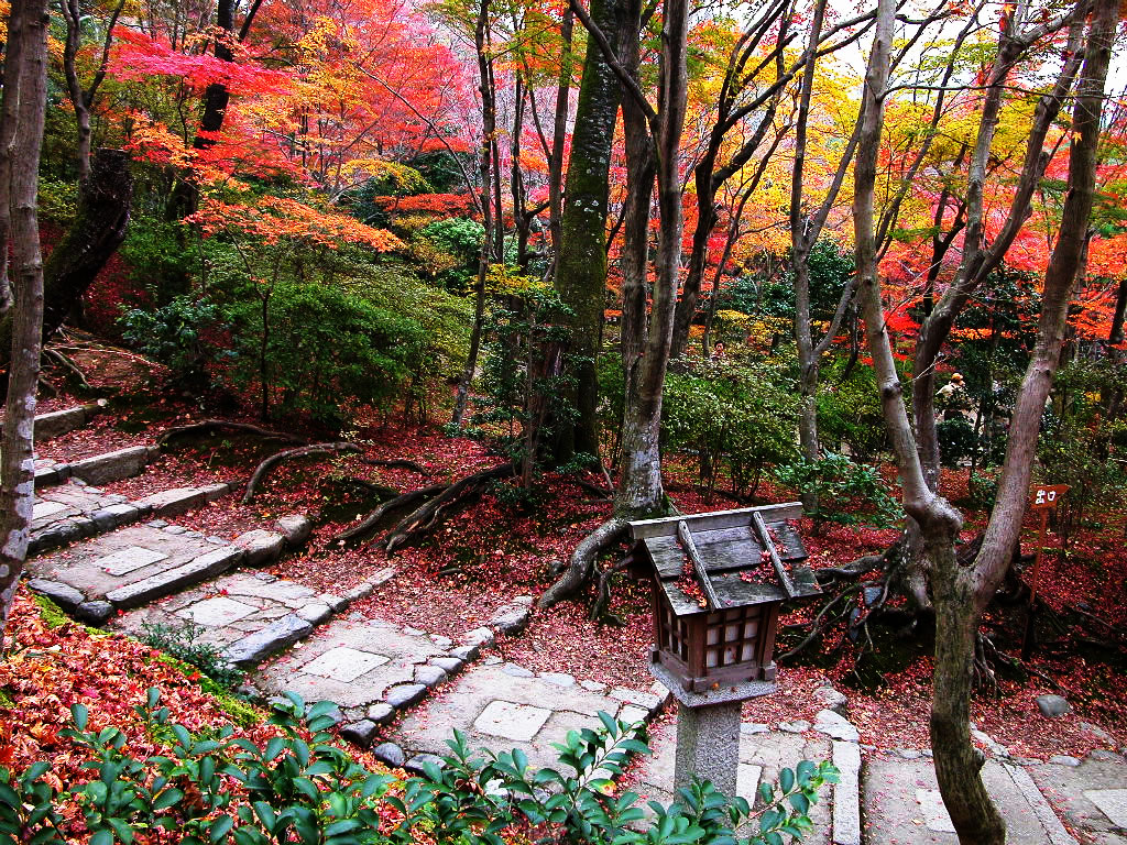 Famous place of the leading autumnal leaves in Kyoto