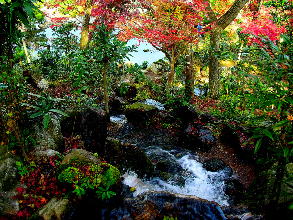 The auspicious dragon waterfall in a garden