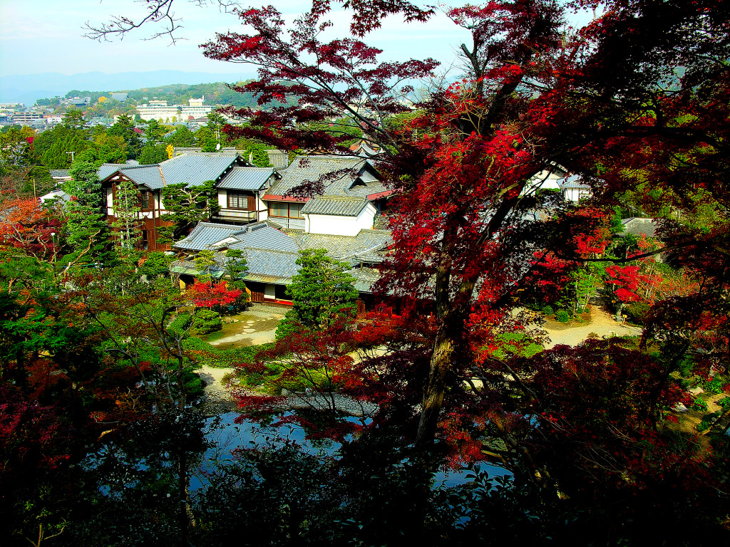 A garden, and Hondo and a European-style building