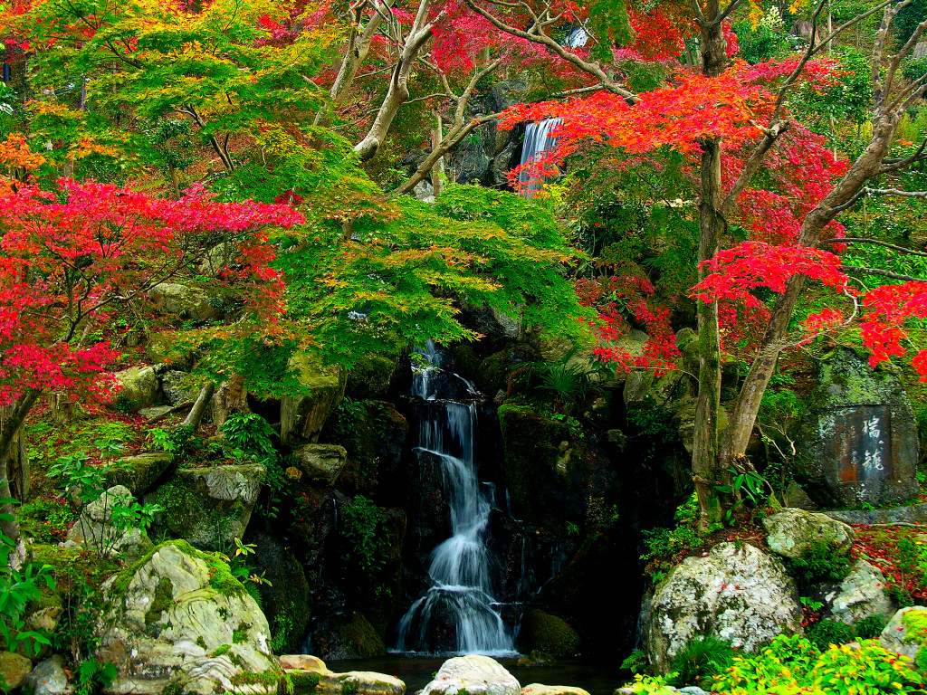 A Zuiryu waterfall and a garden