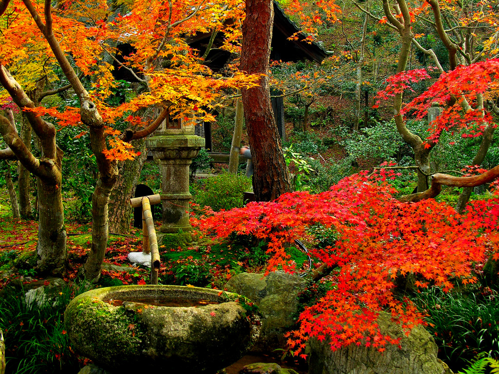 Autumn of Kyoto and Kaiuso