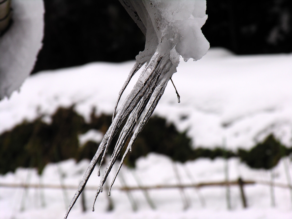 It is an icicle in winter by which it is frozen