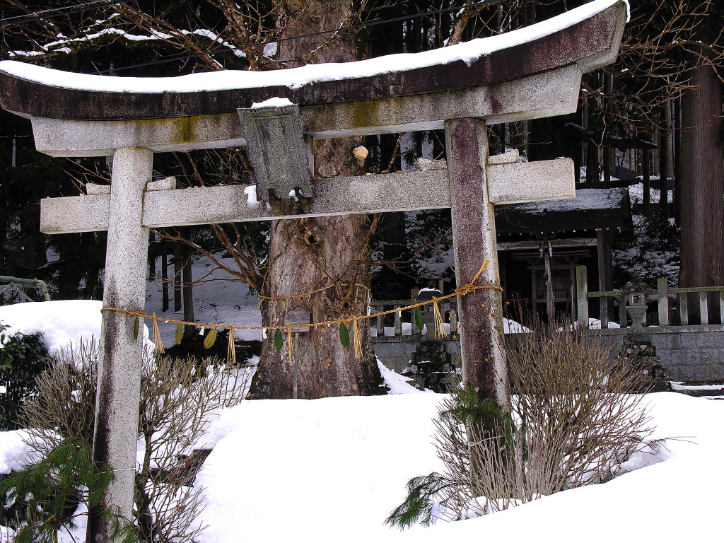 A snowy Inari shrine