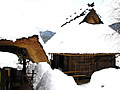 Village of the Miyama thatch Folklore-data hall