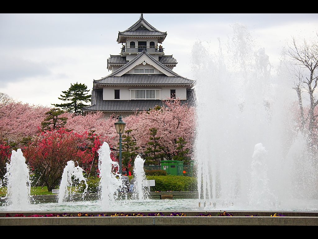 The fountain and cherry tree of Ho park