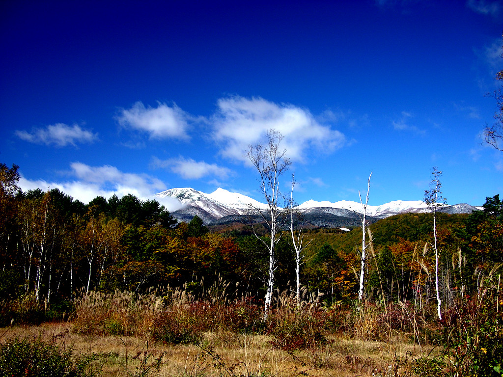 Super-woodland path and Mt. Norikura